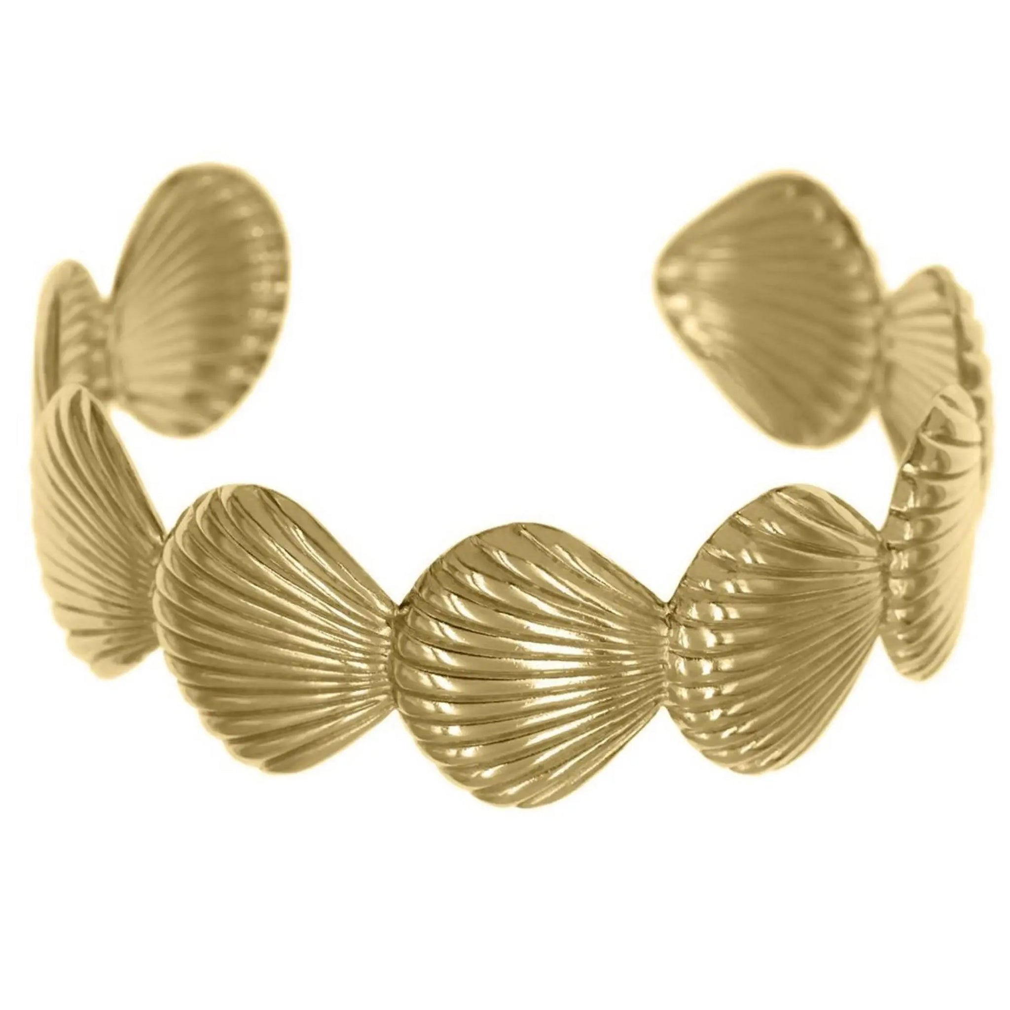 Shells Bracelet St.Steel
