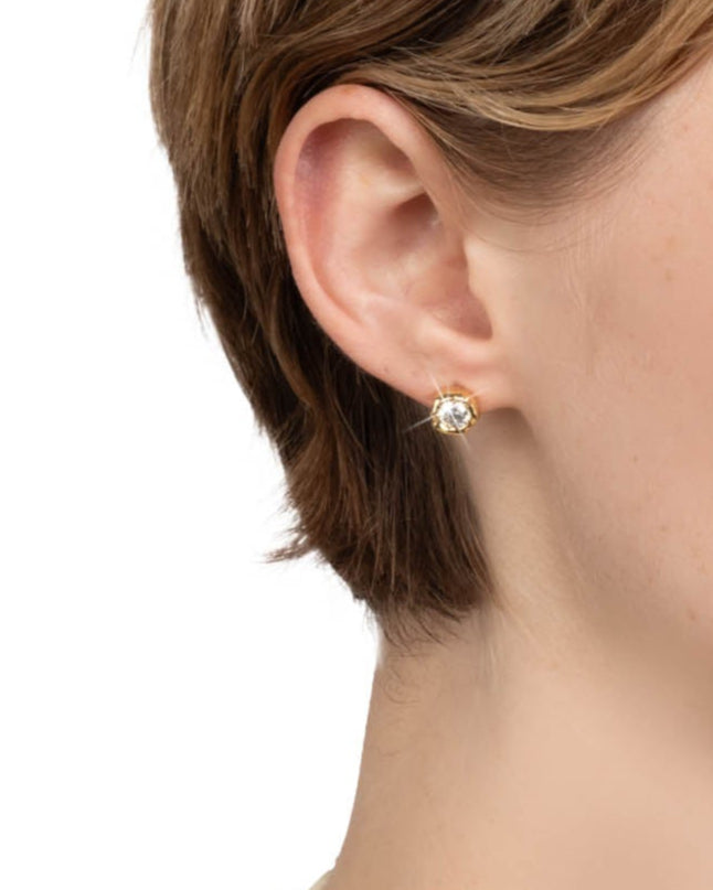 Asterales Molten Bezel Stud Earring- Gold