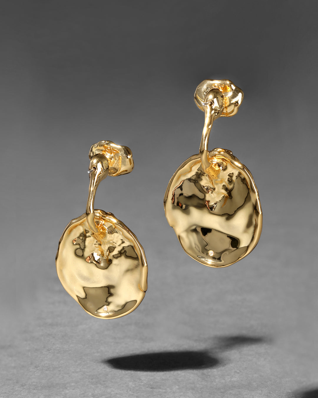 Brut Gold Coin Front Back Earring