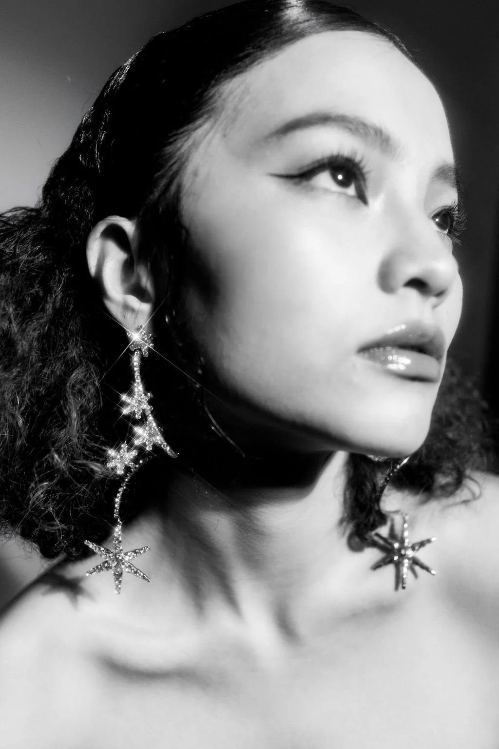 Cosmos Earrings