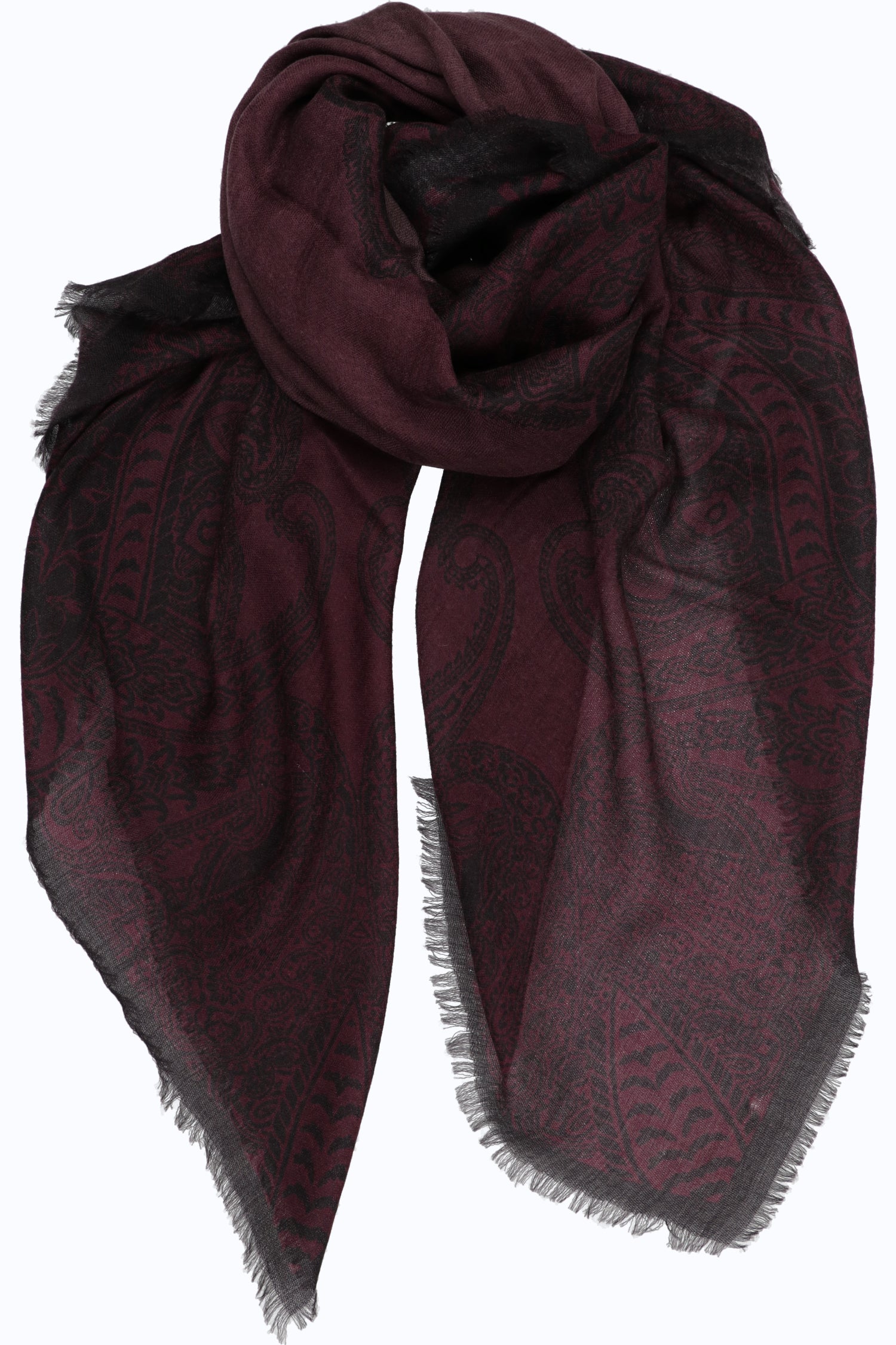 Paisley Border Cashmere Shawl