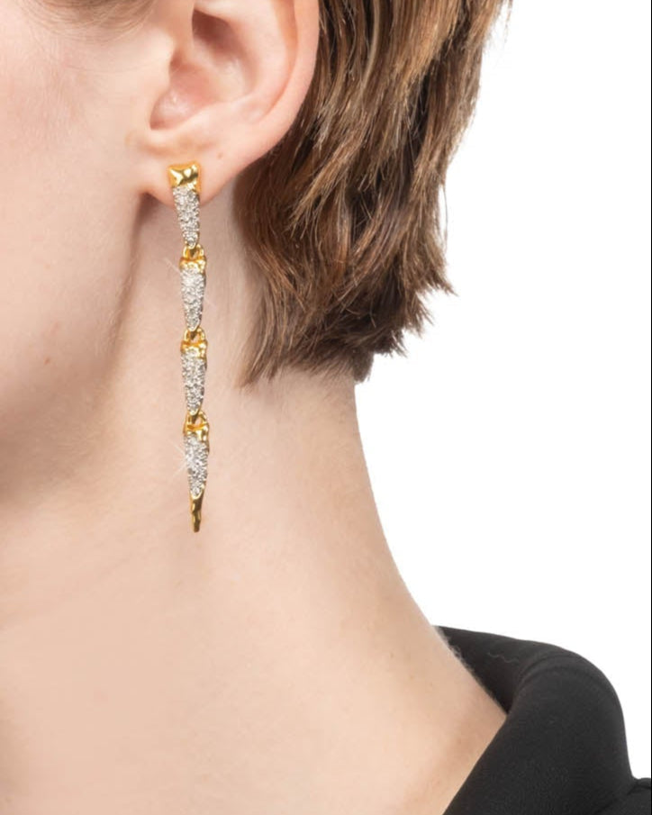 Solanales Crystal Spear Linear Earring