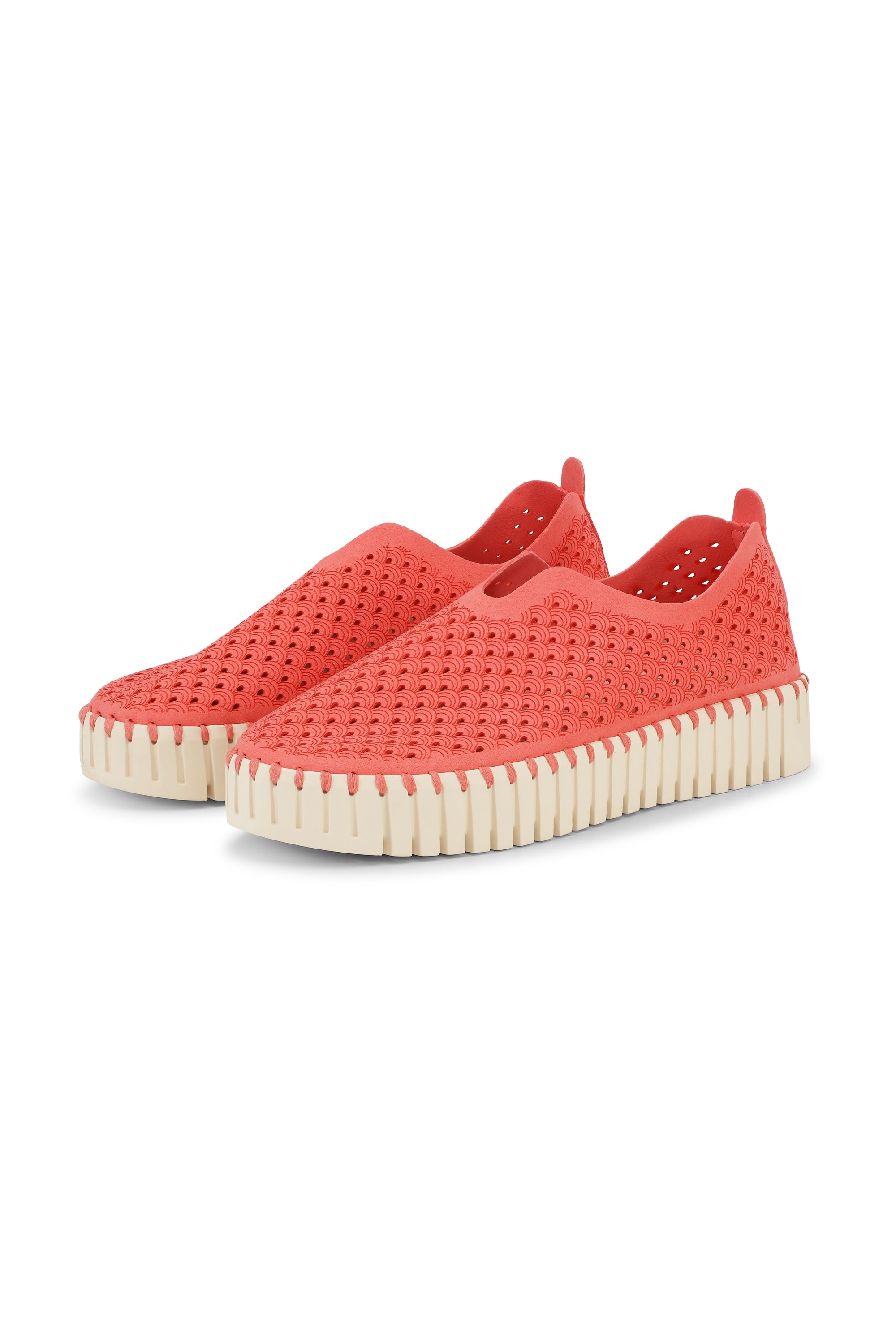 Tulip Slip-In On Plateau Sole - Raspberry