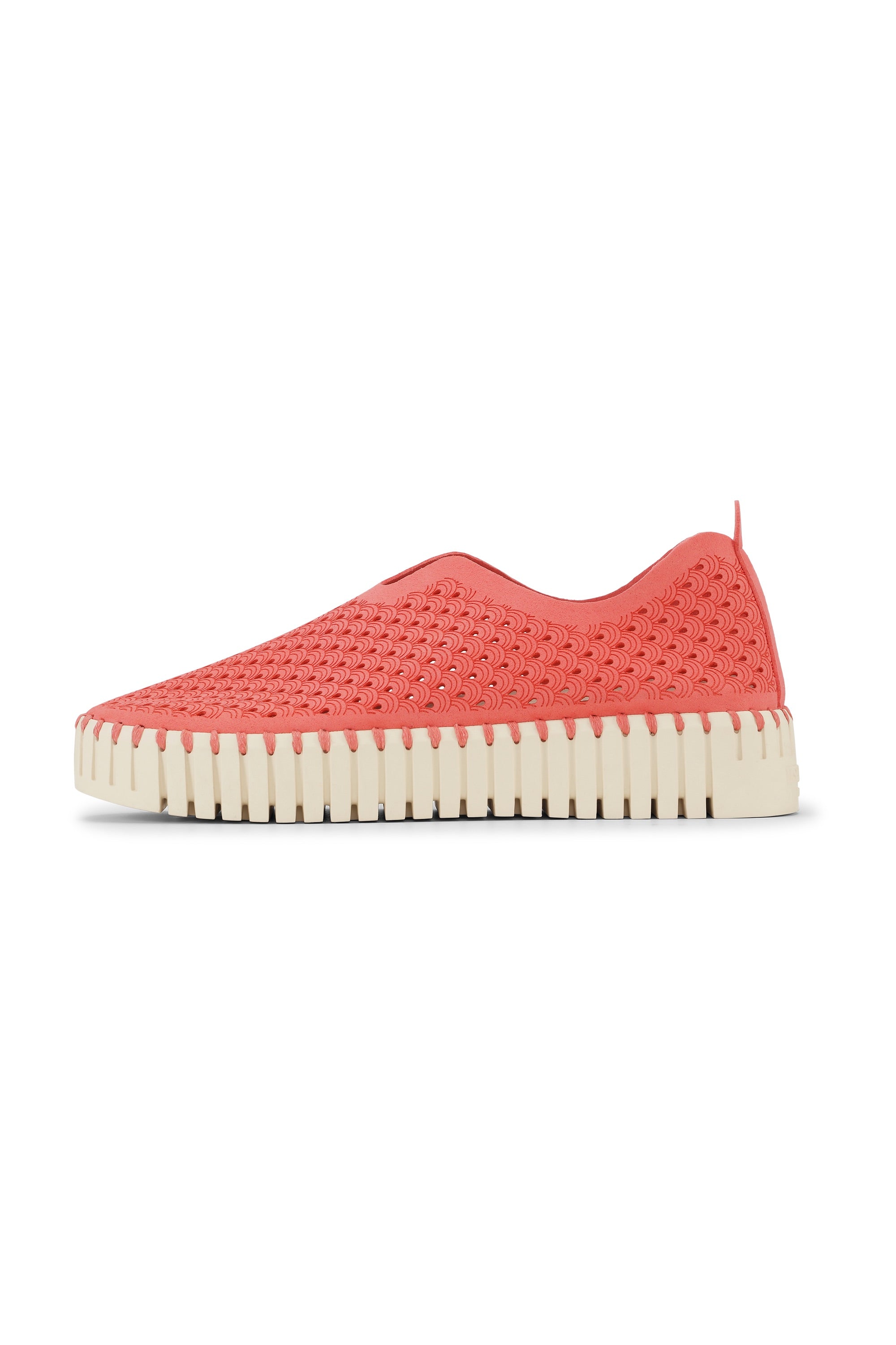 Tulip Slip-In On Plateau Sole - Raspberry