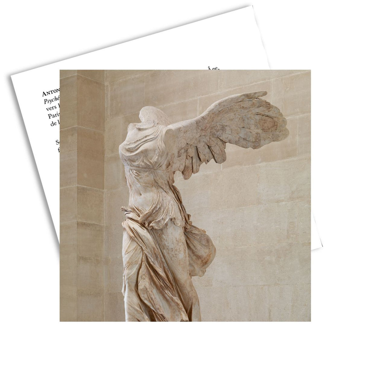 Double Wing of Samothrace Brooch