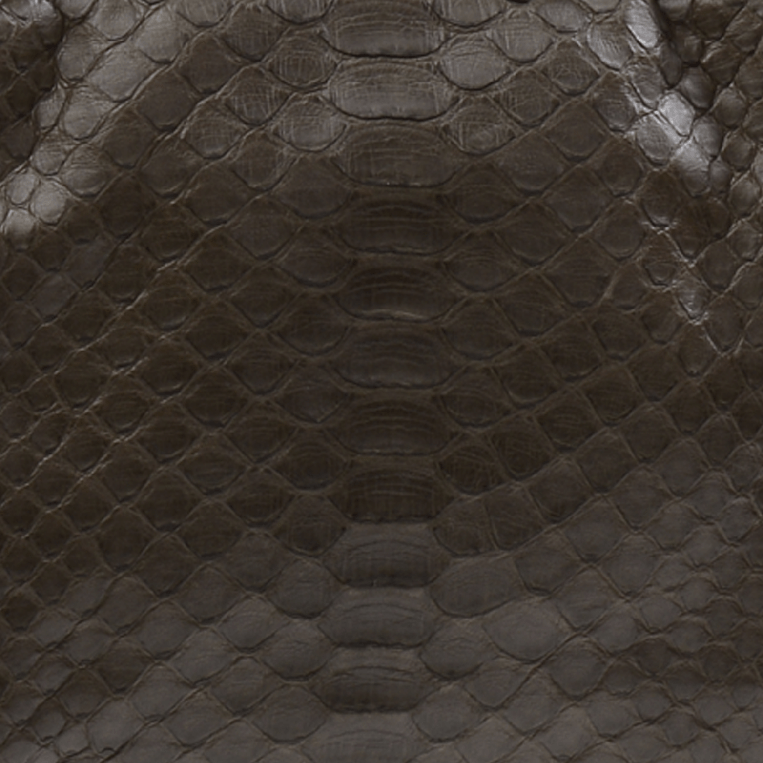 FL by NADA SAWAYA Mini Bags Olive Brown Bibi - Mini Python bag
