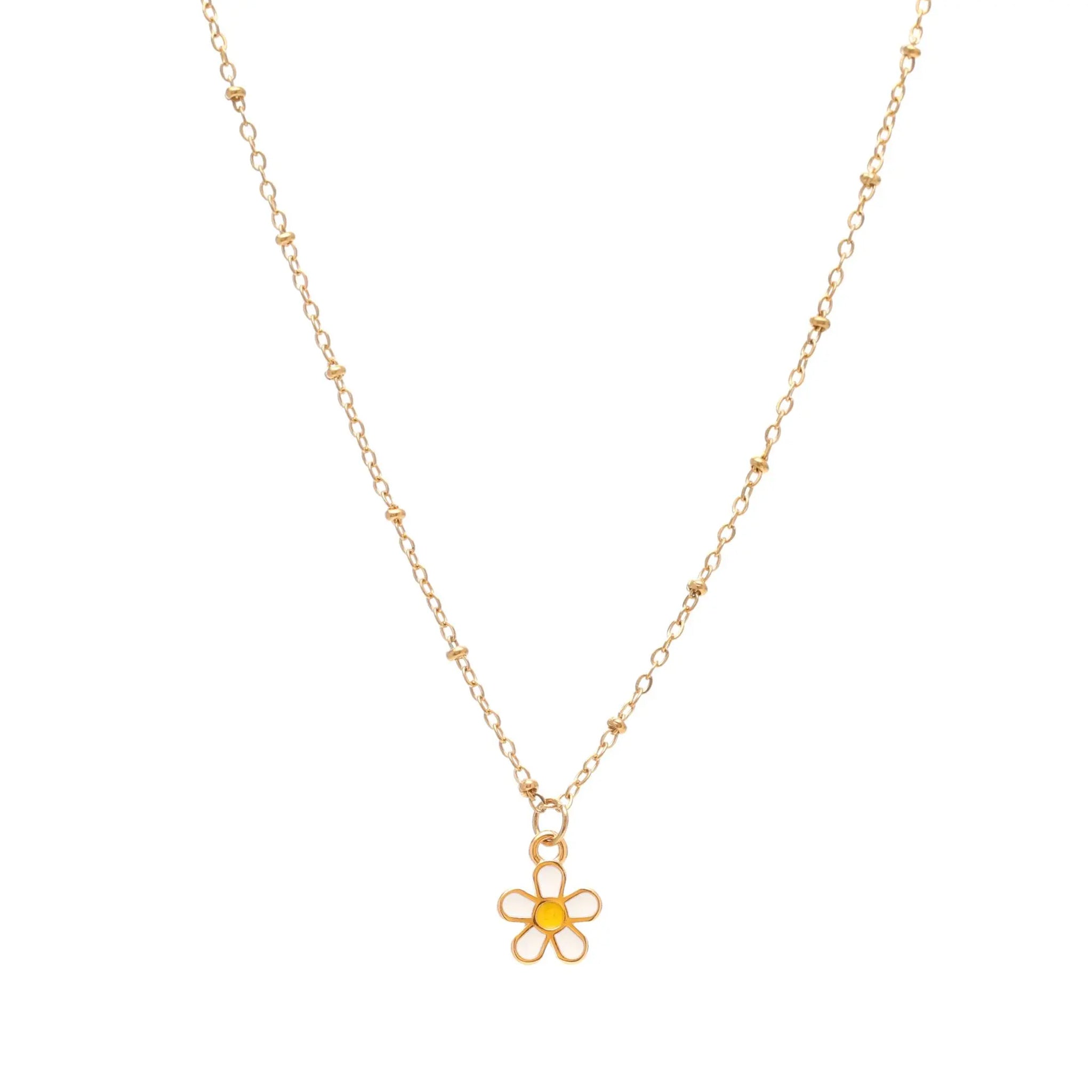 Flower White St.Steel