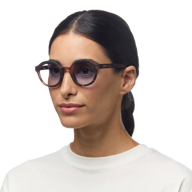 Lauro Round - Havana Blue Lens