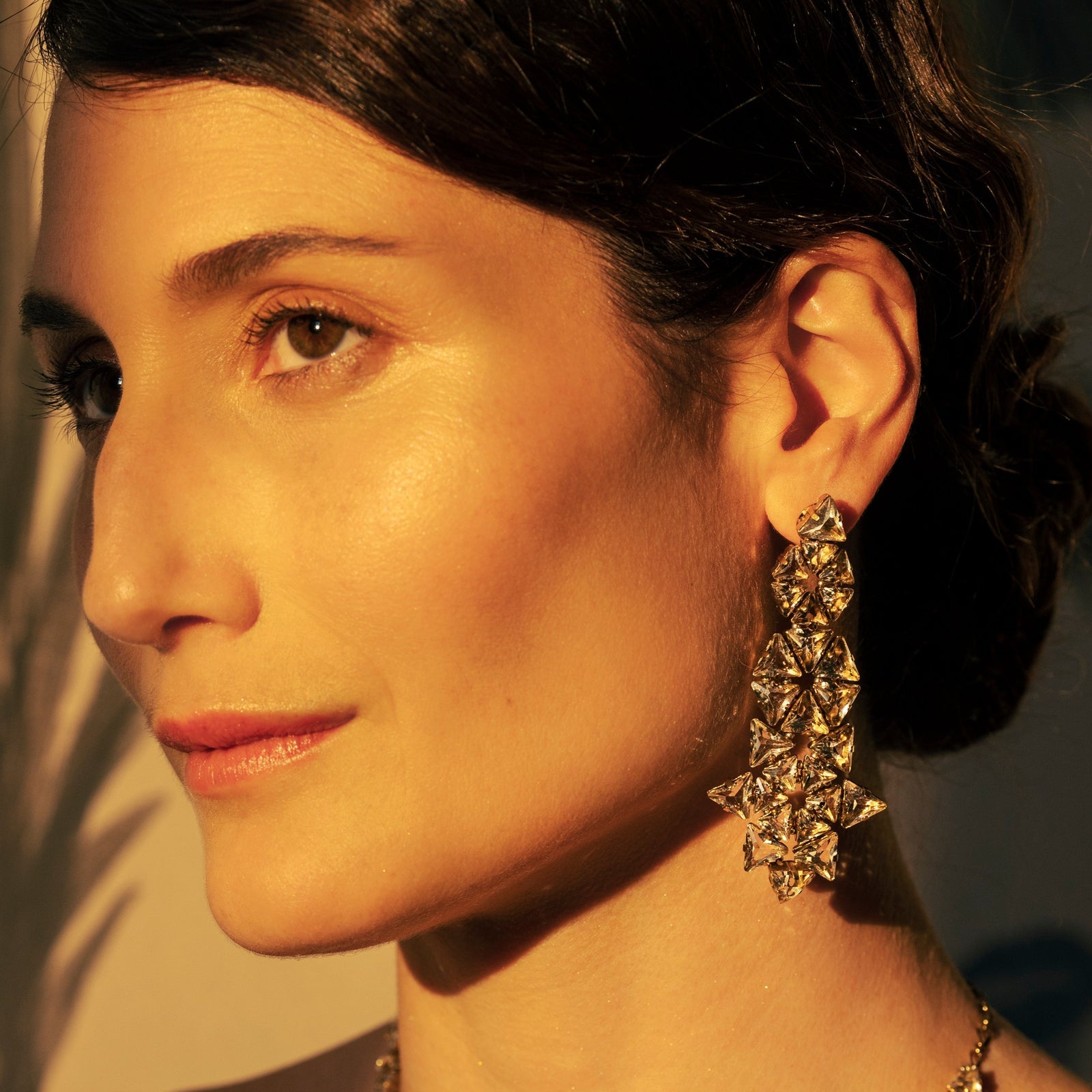 Giuseppina Bronze  Earrings