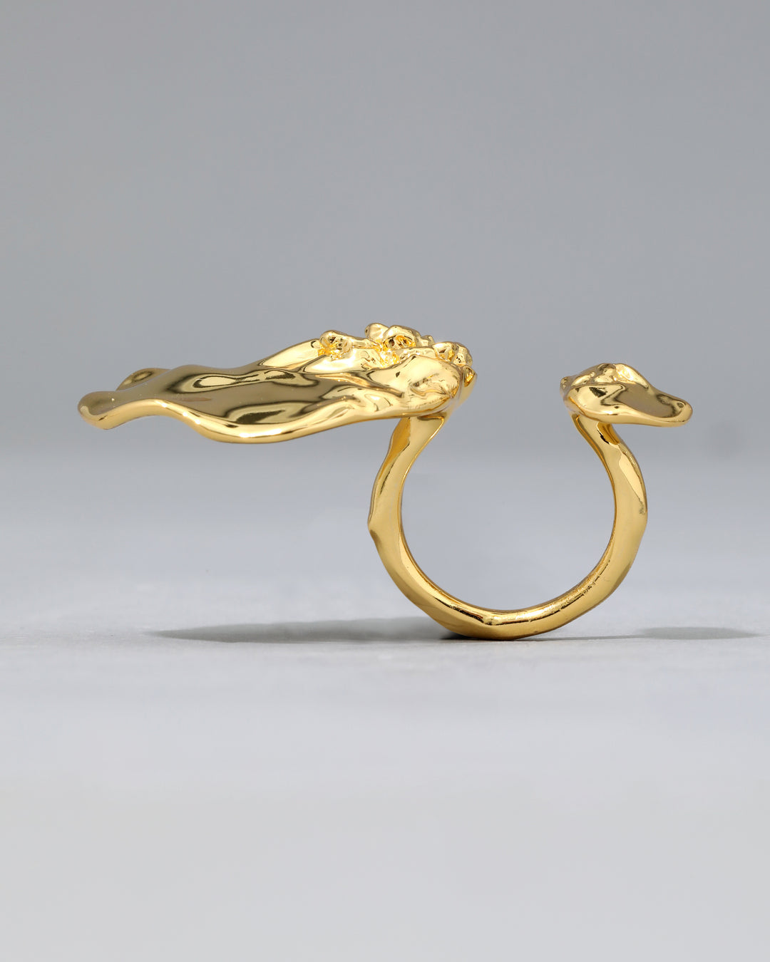 Brut Gold Double Disc Ring
