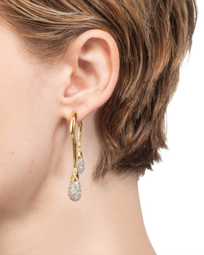 Solanales Crystal Front Back Double Drop Earring- Gold