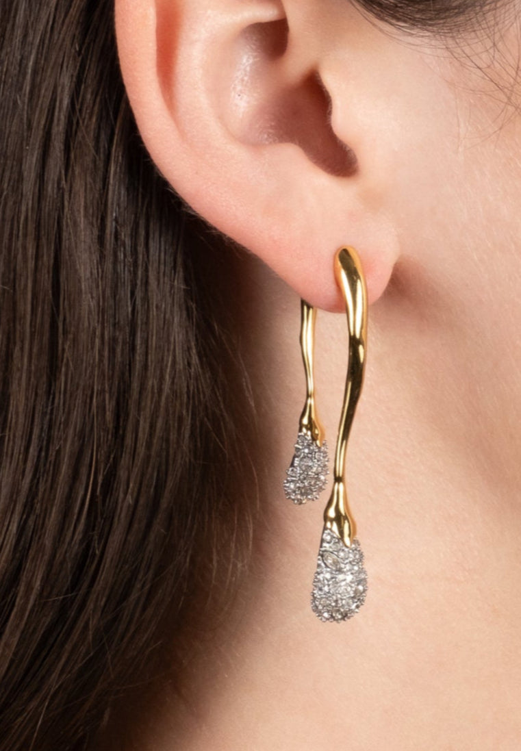 Solanales Crystal Front Back Double Drop Earring- Gold